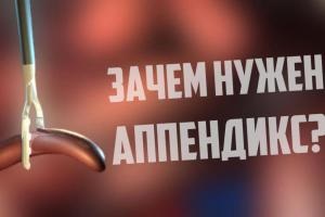 Istoria antică a Egiptului (poveste) Istoria antică a Egiptului