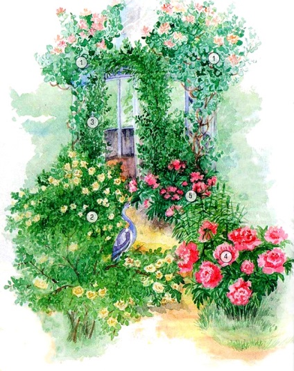flori de grădină parfumată - fotografie (parfumat) flori de grădină parfumată - Fotografii