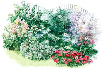flori de grădină parfumată - fotografie (parfumat) flori de grădină parfumată - Fotografii