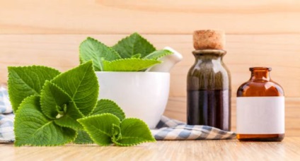 Ulei esențial de proprietăți de aplicare oregano contraindicatiile (ulei) Ulei esențial de proprietăți de aplicare oregano contraindicații