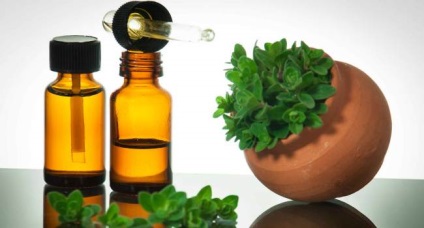 Ulei esențial de oregano proprietăți de aplicare contraindicații (eter) Ulei esențial de proprietăți de aplicare oregano contraindicații