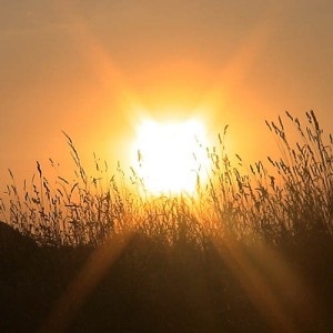Eseu - bine și rău (bun) Eseu - bine și rău