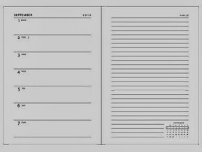 Jurnal și variantele sale (zilnic) Jurnal și variantele sale