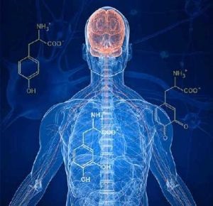 Fagomatoze la copii și adulți clasificarea, simptome, tratament, decât sindroamele periculoase (clasificare) Fagomatoze la copii și adulți clasificarea, simptome, tratament, decât sindroamele periculoase