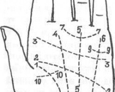Forma degetelor definesc caracterul unei persoane (definiție) Forma degetelor definesc caracterul unei persoane