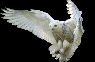 Forum practic și grafică magic - Grimoire magic - Vezi subiect - un complot la ceasul (ore) Forum practic și grafică magic - magic Grimoire - Vezi subiect - Conspirație pentru a viziona
