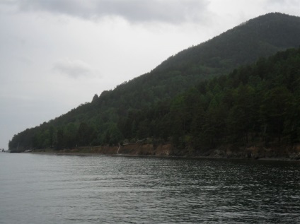 Foto Baikal, pisici de mare (2011) (Pisici) Foto Baikal, pisici de mare (2011)