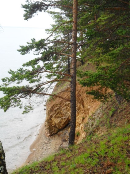 Foto Baikal, pisici de mare (2011) (Pisici) Foto Baikal, pisici de mare (2011)