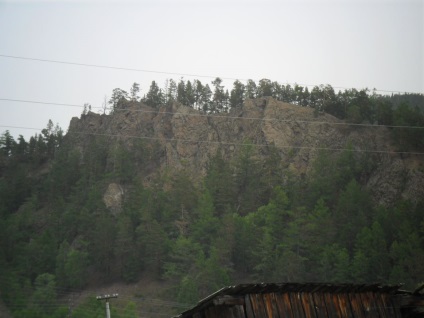 Foto Baikal, pisici de mare (2011) (foto) Foto Baikal, pisici de mare (2011)