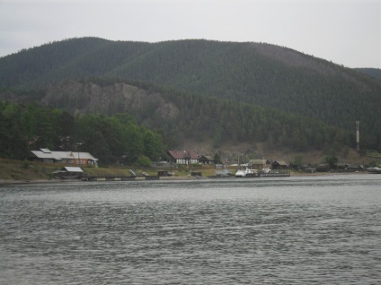 Foto Baikal, pisici de mare (2011) (Pisici) Foto Baikal, pisici de mare (2011)