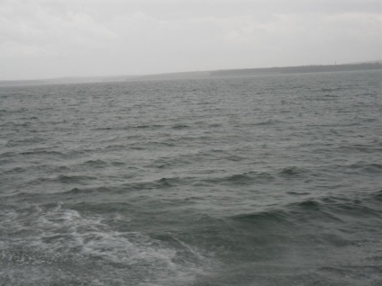 Foto Baikal, pisici de mare (2011) (foto) Foto Baikal, pisici de mare (2011)