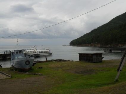 Foto Baikal, pisici de mare (2011) (foto) Foto Baikal, pisici de mare (2011)