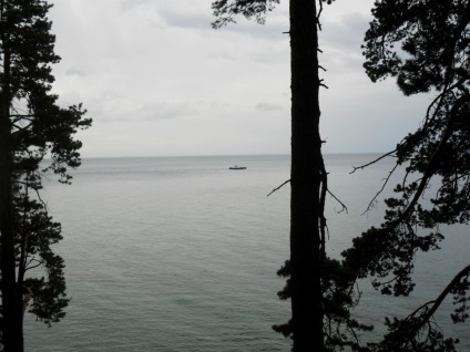 Foto Baikal, pisici de mare (2011) (foto) Foto Baikal, pisici de mare (2011)