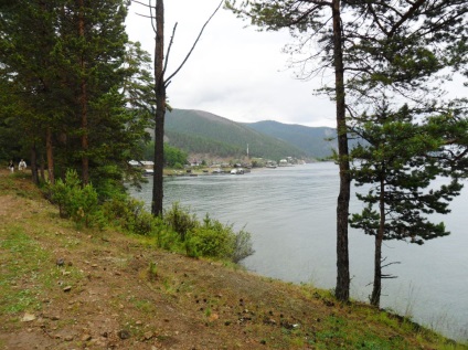 Foto Baikal, pisici de mare (2011) (Baikal) Foto Baikal, pisici de mare (2011)