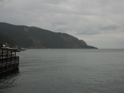 Foto Baikal, pisici de mare (2011) (mai mult) Foto Baikal, pisici de mare (2011)