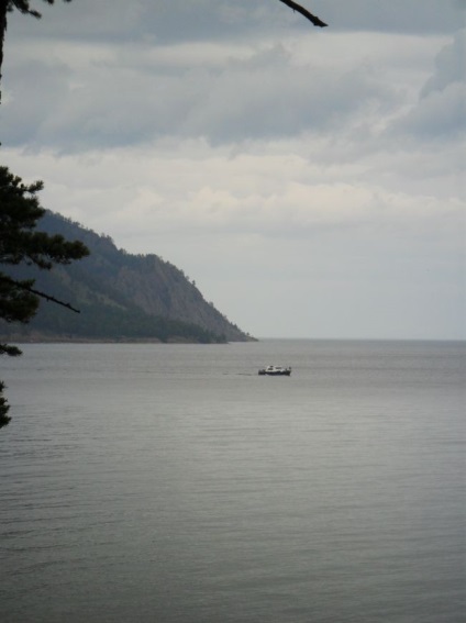 Foto Baikal, pisici de mare (2011) (Pisici) Foto Baikal, pisici de mare (2011)