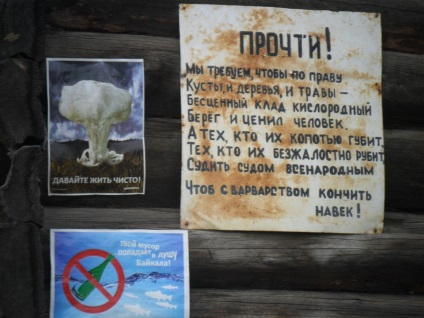 Foto Baikal, pisici de mare (2011) (mai mult) Foto Baikal, pisici de mare (2011)