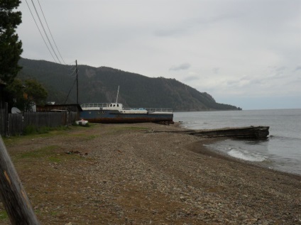 Foto Baikal, pisici de mare (2011) (mai mult) Foto Baikal, pisici de mare (2011)