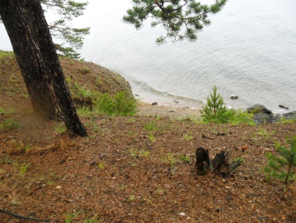 Foto Baikal, pisici de mare (2011) (foto) Foto Baikal, pisici de mare (2011)