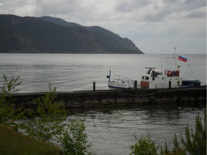 Foto Baikal, pisici de mare (2011) (mai mult) Foto Baikal, pisici de mare (2011)