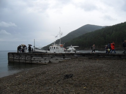 Foto Baikal, pisici de mare (2011) (Pisici) Foto Baikal, pisici de mare (2011)