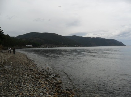 Foto Baikal, pisici de mare (2011) (Pisici) Foto Baikal, pisici de mare (2011)