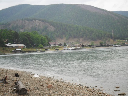Foto Baikal, pisici de mare (2011) (mai mult) Foto Baikal, pisici de mare (2011)