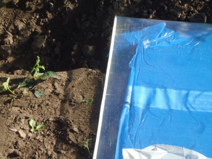 Raportul foto cu privire la modul de a acoperi vechi policarbonat cu efect de seră (foi de policarbonat cu efect de seră) Raportul foto cu privire la modul de a acoperi vechi policarbonat cu efect de seră