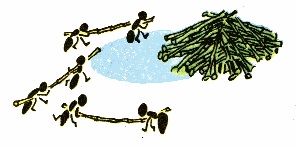 Idiom al limbii române, asociată cu numele părților corpului uman, în comparație cu (română) Idiom limba română referitoare la numele părților corpului uman, în comparație cu