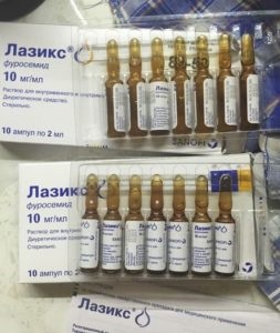 Gipertroftcheskaya cardiomiopatie simptomelor pisici, tratament, inclusiv un pisici britanic, cât de multe (pisici) Gipertroftcheskaya cardiomiopatie simptomelor pisici, tratament, inclusiv o pisici britanice ca