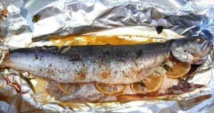 fotografie Loach, pregătire, avantaje și prejudicii (utilizare) fotografii Golec, pregătire, avantaje și prejudicii