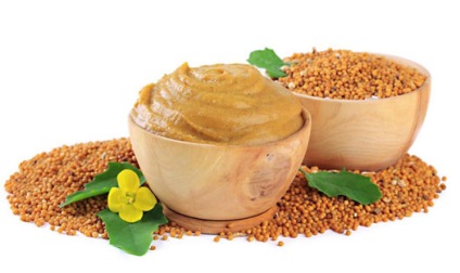 Muștar - cel mai popular condiment lume, magie (muștar) Muștar - cel mai popular condiment lume magica
