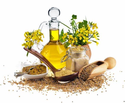 Muștar - cel mai popular condiment lume, magie (muștar) Muștar - cel mai popular condiment lume magica