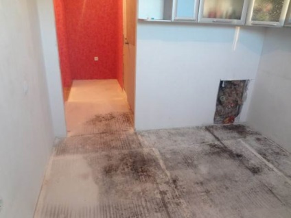 video, instrucțiuni de sex fungus despre cum să scape de propriile mâini pentru a lupta împotriva mucegaiului, fotografii (a scăpa de) instrucțiuni de sex video fungus despre cum să scape de propriile mâini pentru a lupta împotriva mucegaiului, fotografii