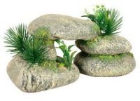 Grotele Aquarium (acvariu, puteți crea) Grotele Aquarium