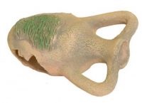 Grotele Aquarium (acvariu, puteți crea) Grotele Aquarium