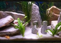 Peșteri pentru un acvariu (rezervor de pește) Grotele Aquarium