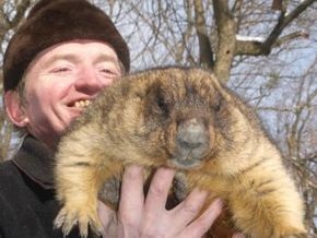 Groundhog ziua 1 (gramatica engleză) Groundhog ziua 1