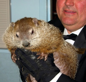 Groundhog ziua 1 (groundhog) Groundhog ziua 1