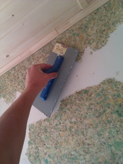 Instrucțiuni de aplicare (tapet lichid pachet) Instrucțiuni de aplicare