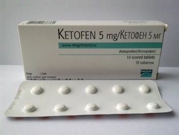Instrucțiuni de utilizare ketofena pentru pisici (aplicații) Instrucțiuni de utilizare ketofena pentru pisici