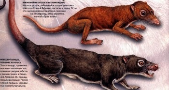Istoria planetei noastre (totul pentru studiu) Istoria planetei noastre