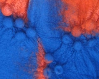 Felt (produse) Felt