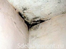 A scăpa de mucegai pe tavan (plafon) A scăpa de mucegai pe tavan