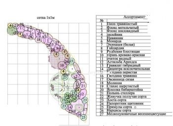 Ca flori de plante frumoase pentru principii cabana de vară de compoziție florală (amplasare) Cât de frumoase flori de plante la principiile cabana lor de vară de aranjament floral