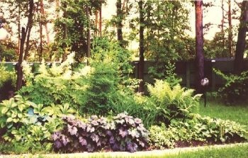 Ca flori de plante frumoase pentru principii cabana de vară de compoziție florale (frumos) Cât de frumoase flori de plante la principiile cabana lor de vară de aranjament floral