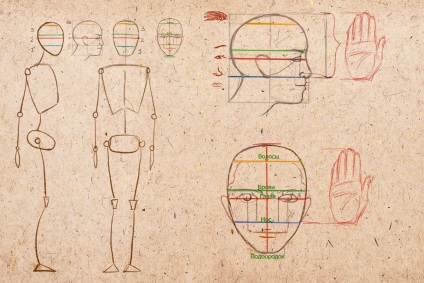 Cum de a desena proporții umane creion