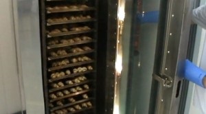 Cum de a deschide un magazin de produse de patiserie (deschide un magazin de produse de patiserie) Cum de a deschide un magazin de produse de patiserie