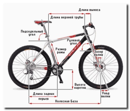 Cum de a ridica bicicleta pe caracteristicile de creștere și geometria structurii cadru (ridica) Cum de a alege o bicicletă pe caracteristicile de creștere a geometriei și a cadrului de proiectare