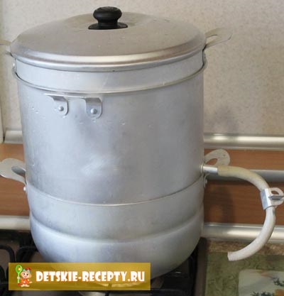 Cum să utilizați sokovarkoy - instrucțiuni cu fotografii, rețete pentru copii, feluri de mâncare (utilizare) Cum să utilizați sokovarkoy - instrucțiuni cu fotografii, rețete pentru copii, bucătărie
